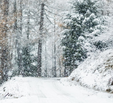 Avviso pubblico di indagine di mercato per laffidamento del servizio di sgombero neve e trattamenti preventivi antigelo